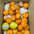 詰め合わせゴールドです
