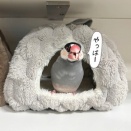 別荘の交換をセラに交渉してみた