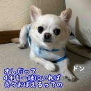 陸、新しい技