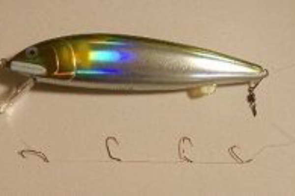 愛知三河の鮎 アマゴ レインボー うなぎ スッポン他 鮎ルアー