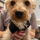 🐾 心あたたまるご支援に感謝 🐾