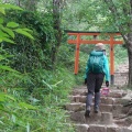 眠い＆暑い。――　くろんど園地と交野山