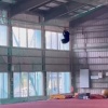 クマ、野球部の屋内練習場でやりたい放題ｗｗｗｗwｗｗｗｗｗｗｗｗｗ