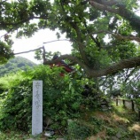 『石切場跡(鹿野浦海岸)』の画像