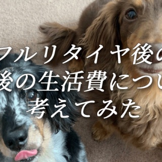 FXで年金5000万円を目指す40代のブログ