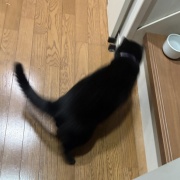 遊ぶシニアとだらける若者