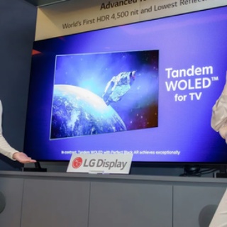 Flat Panel TV and Display World-2....液晶/有機EL・業界・動向