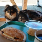 黒ぽめ！あんことおはぎとだんごちゃん