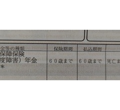 そろそろ本気で生命保険を解約しようかと思う