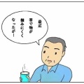 コンニャクが掴みやすい箸