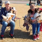 ボルゾイな生活