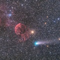 ３分８枚　D810A　BXT無し　有り
