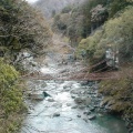 　徳島のご当地そんぐ・その３（祖谷のかずら橋）