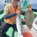 イワシの泳がせ　近場