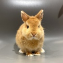 今年生まれた男の子！