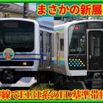 湘南色の部屋（Shonan-color train）