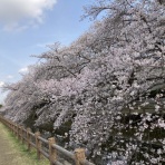 ホームステーションらいふ与野本町のブログ