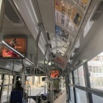 自由に生きる〜日本才能学研究所オフィシャルブログ*:.｡.ღ˘◡˘ற♡.｡.:*･ﾟ