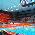 悪いニュースばかりと評判のアジア大会愛知・名古屋2026から東京開催の水泳競技を観戦し「自国開催で日本新の金」の夢を見た件。