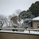 またまたユキフル!!