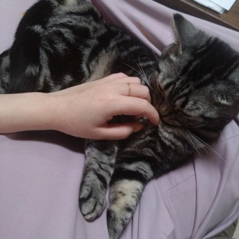 実物のﾈｺﾁｬﾝたちセカンド206