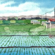 絵墨」をちょっと使った 透明水彩画「枚方の田園」 : 水彩的生活