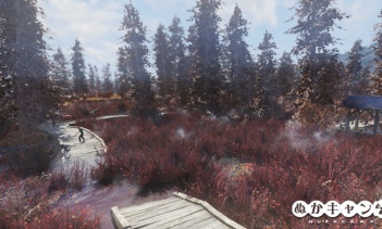 クランベリー・グレイド（Cranberry glade）