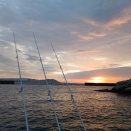 協会春季大会、クラブ例会