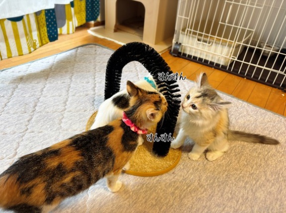 おもちゃの寿命