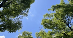 すんなりと落とせそう ／ 夏掃除