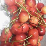 ストレス対処法研究所ブログ