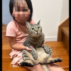 【画像】変な猫、見つかるｗｗｗｗ