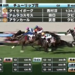 【チューリップ賞】アランカールとはなんだったのか