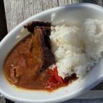 カレー探求、たまにAI創薬