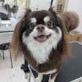 うるま店 トリミング🐶✂️