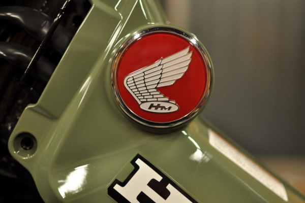 いくゾ～ やるゾ～ がんばる象