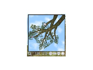 2026観光納品速報4/23