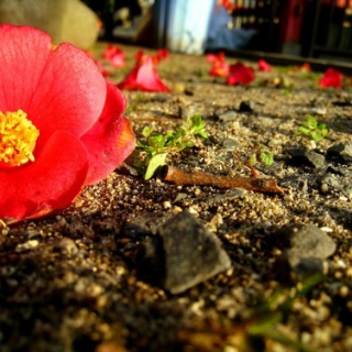 勝又壽良のワールドビュー