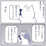 ねことのくらし