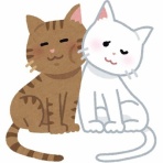 衝撃体験！アンビリバボー｜浮気・修羅場・スカッとまとめ