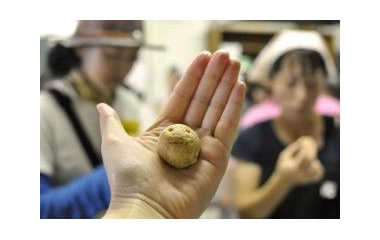 �ء֤ˤ��ޤ륯�å����׼�갷�����Ϥ��ޤ�!�٤β���