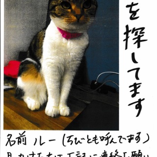 みんなの動物病院からのおしらせ