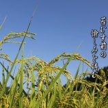 『ポツンと一軒家「一往深情の物語り」』の画像