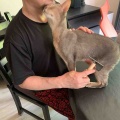 お父さんの髭が大好きジャミちゃん