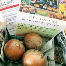 野菜のお世話をし収穫してみたら/最近の戦利品