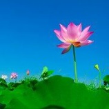 『傷が癒えたら歩き出しましょう 〜浮気問題を考える4〜』の画像