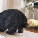 ご苦労さまでした♪