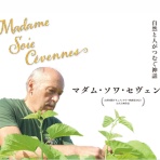 じゅん・ぴぇ～る・ケロピョンチョのボードゲーム紹介