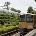 新しいレオライナーに乗る