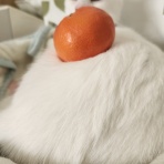 猫印良品和菓子店